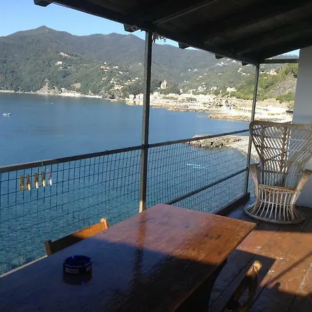 Il Rospo Moneglia