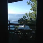 Il Rospo *