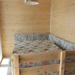 Il Rospo Camping *