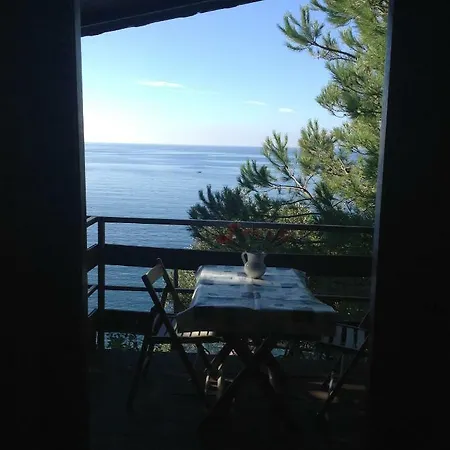 Il Rospo *