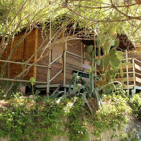 Il Rospo Campsite